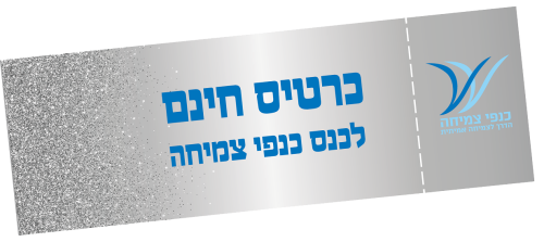 כרטיס כסף עקום מוקטן-1